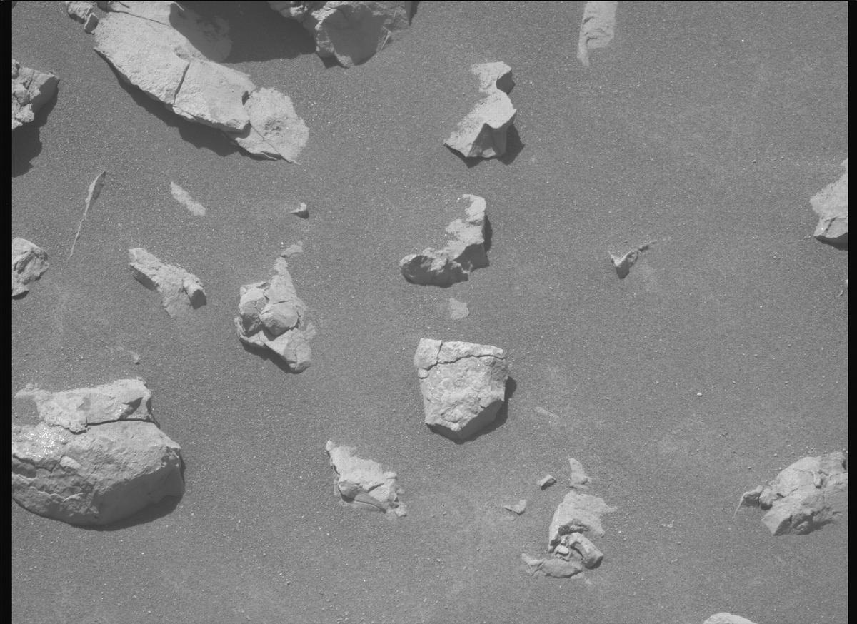 This image was taken by MCZ_LEFT onboard NASA's Mars rover Perseverance on Sol 1590