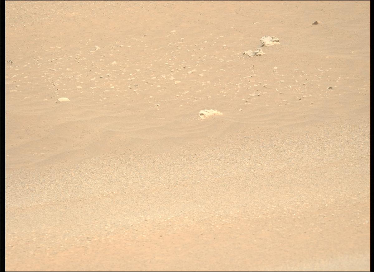 This image was taken by MCZ_LEFT onboard NASA's Mars rover Perseverance on Sol 1595