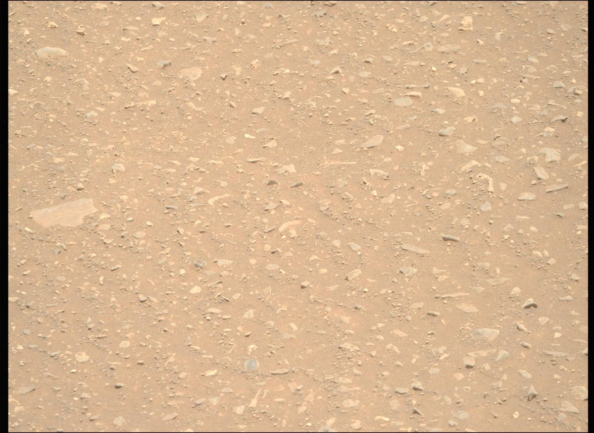 This image was taken by MCZ_RIGHT onboard NASA's Mars rover Perseverance on Sol 1595