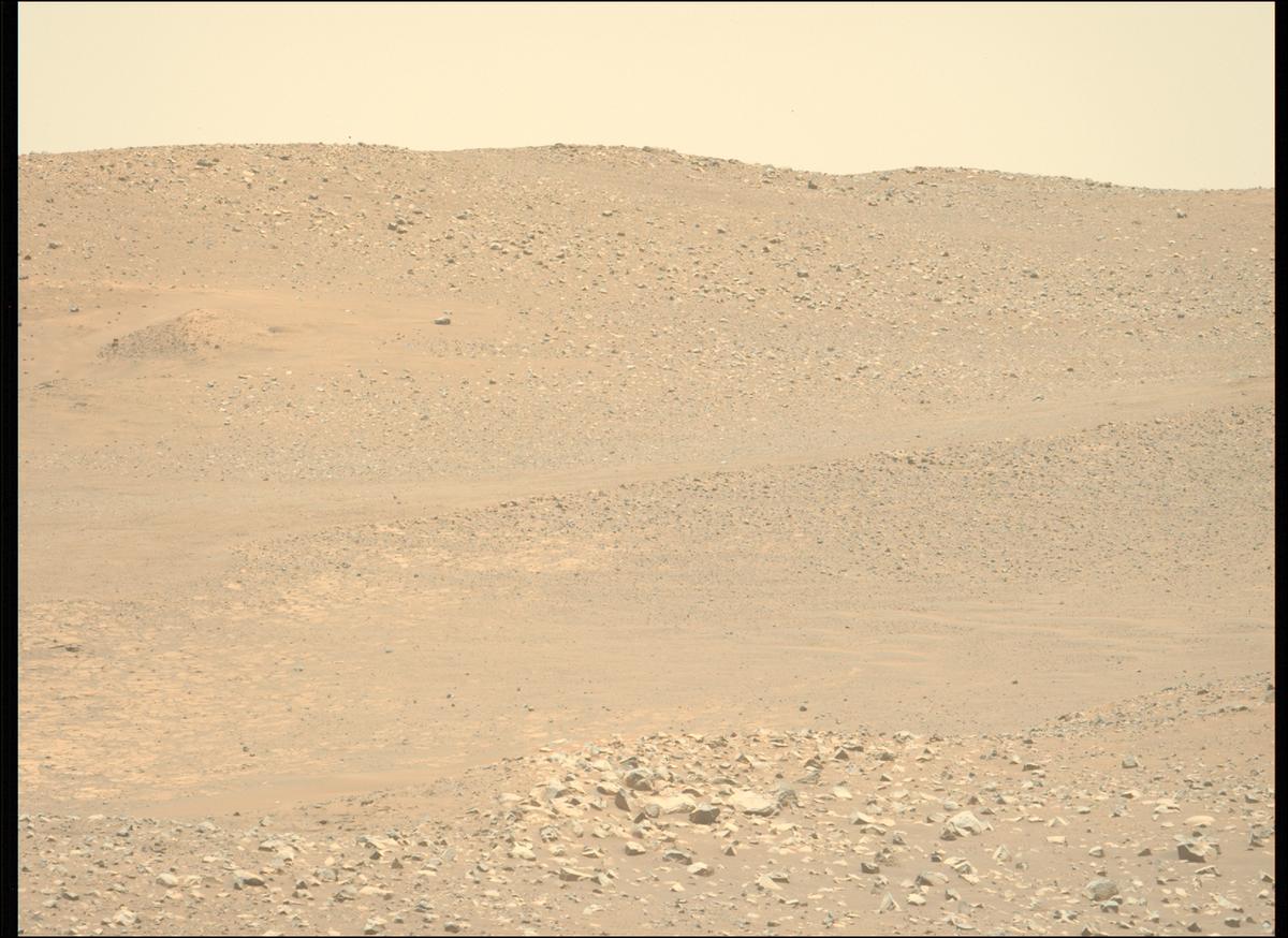 This image was taken by MCZ_LEFT onboard NASA's Mars rover Perseverance on Sol 1596