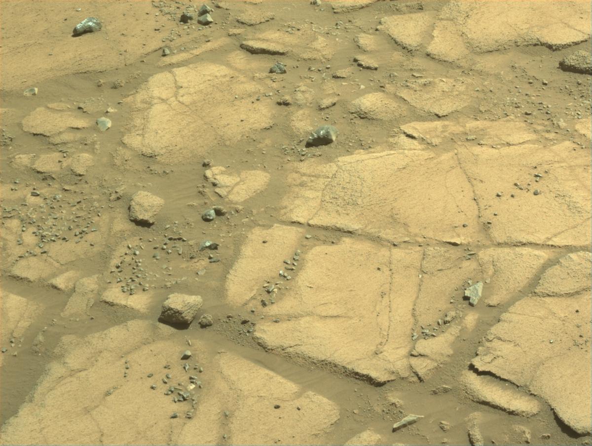 This image was taken by NAVCAM_LEFT onboard NASA's Mars rover Perseverance on Sol 1597