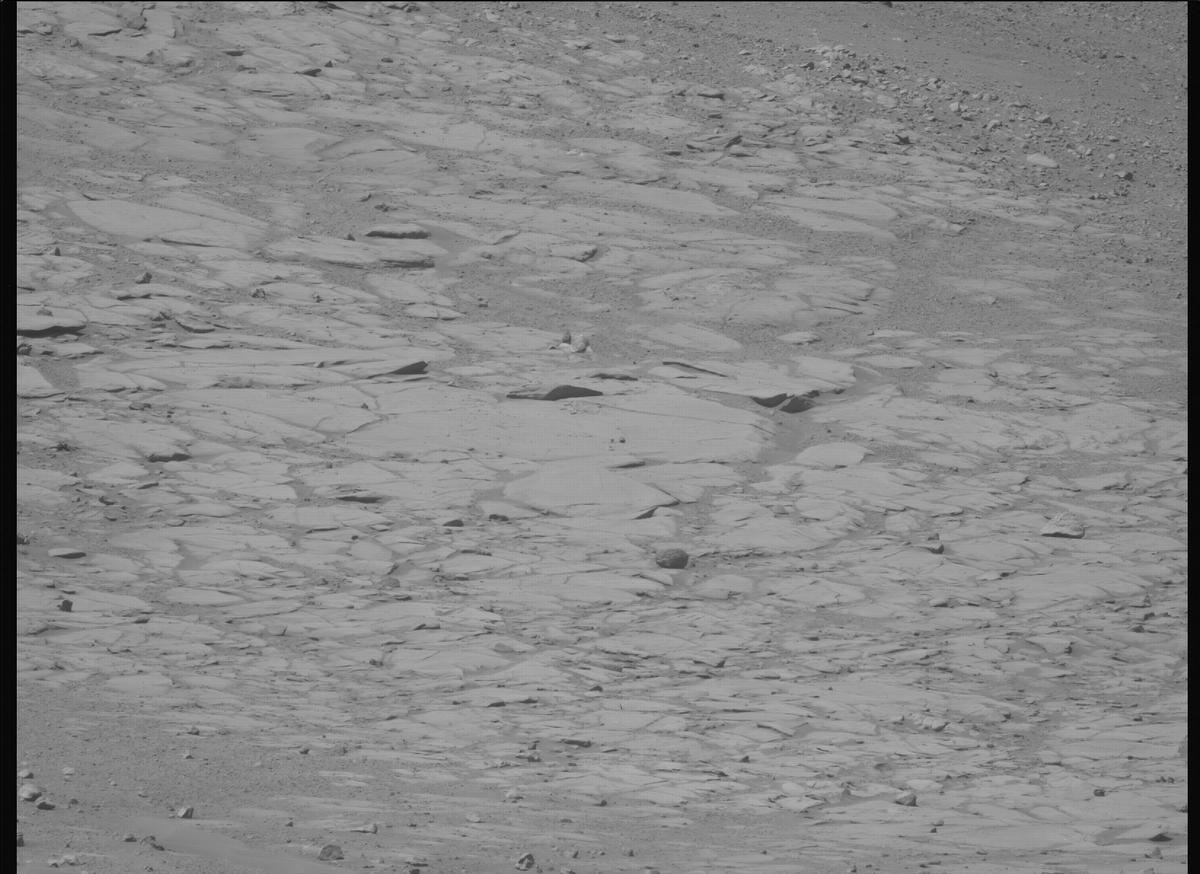 This image was taken by MCZ_LEFT onboard NASA's Mars rover Perseverance on Sol 1599