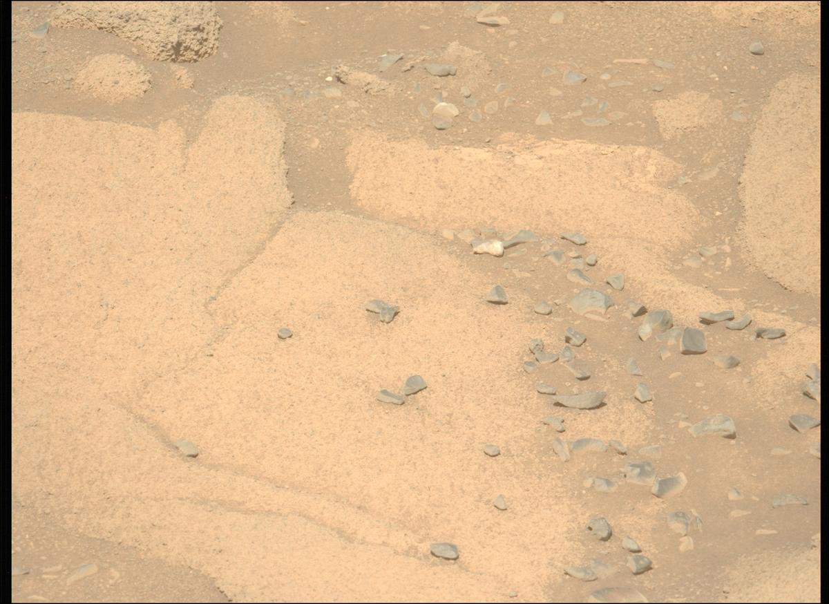 This image was taken by MCZ_LEFT onboard NASA's Mars rover Perseverance on Sol 1599