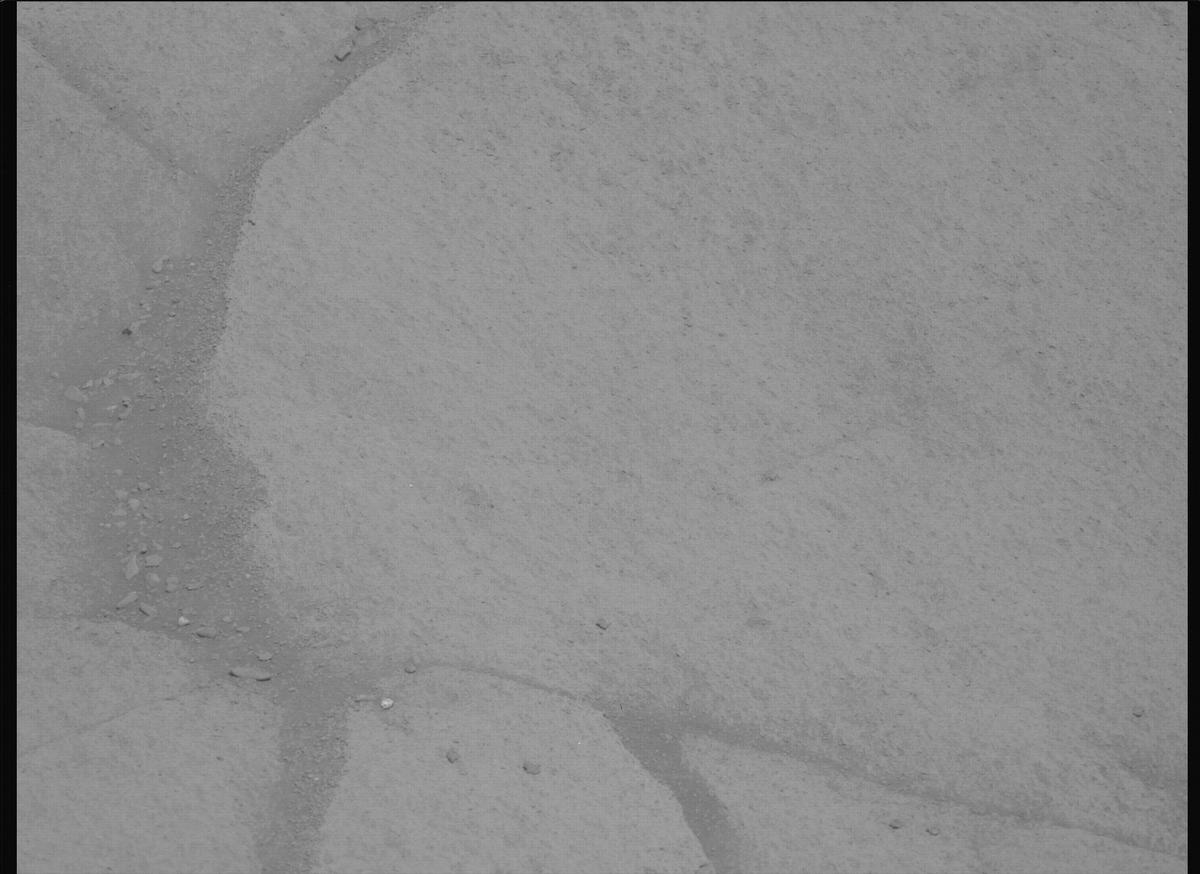 This image was taken by MCZ_LEFT onboard NASA's Mars rover Perseverance on Sol 1599