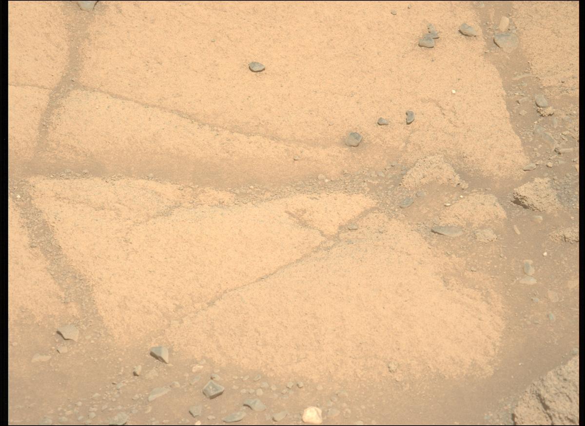 This image was taken by MCZ_LEFT onboard NASA's Mars rover Perseverance on Sol 1599