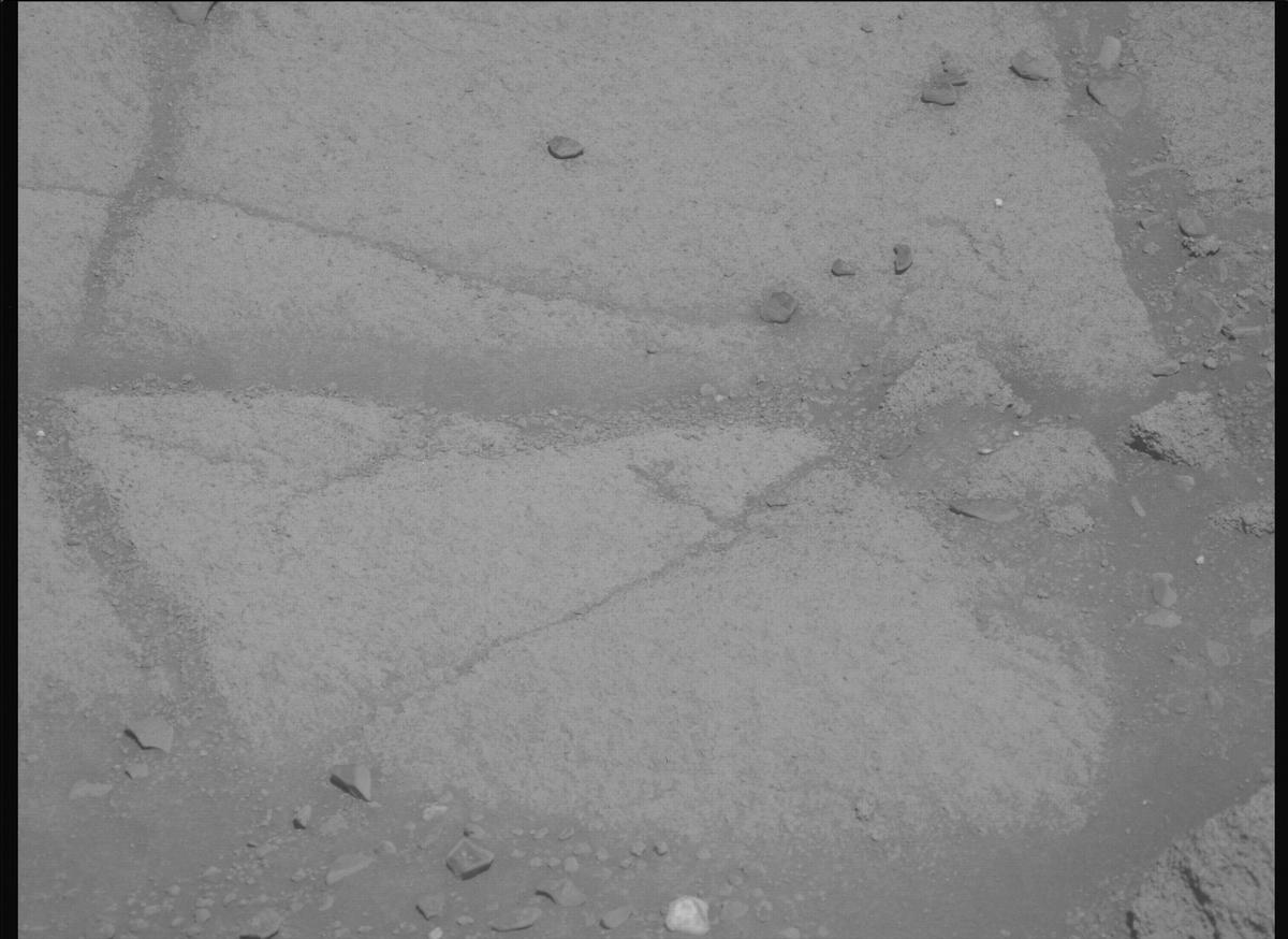 This image was taken by MCZ_LEFT onboard NASA's Mars rover Perseverance on Sol 1599