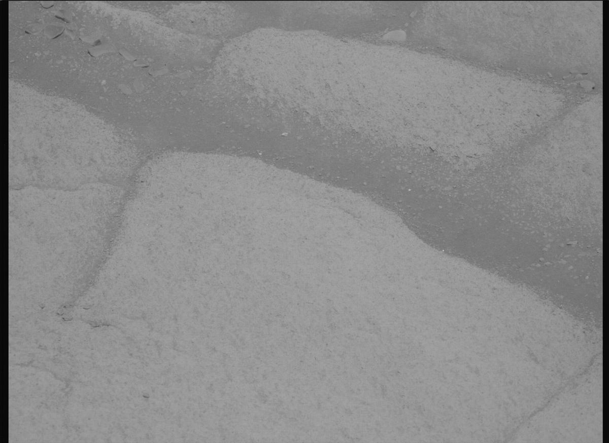This image was taken by MCZ_LEFT onboard NASA's Mars rover Perseverance on Sol 1599