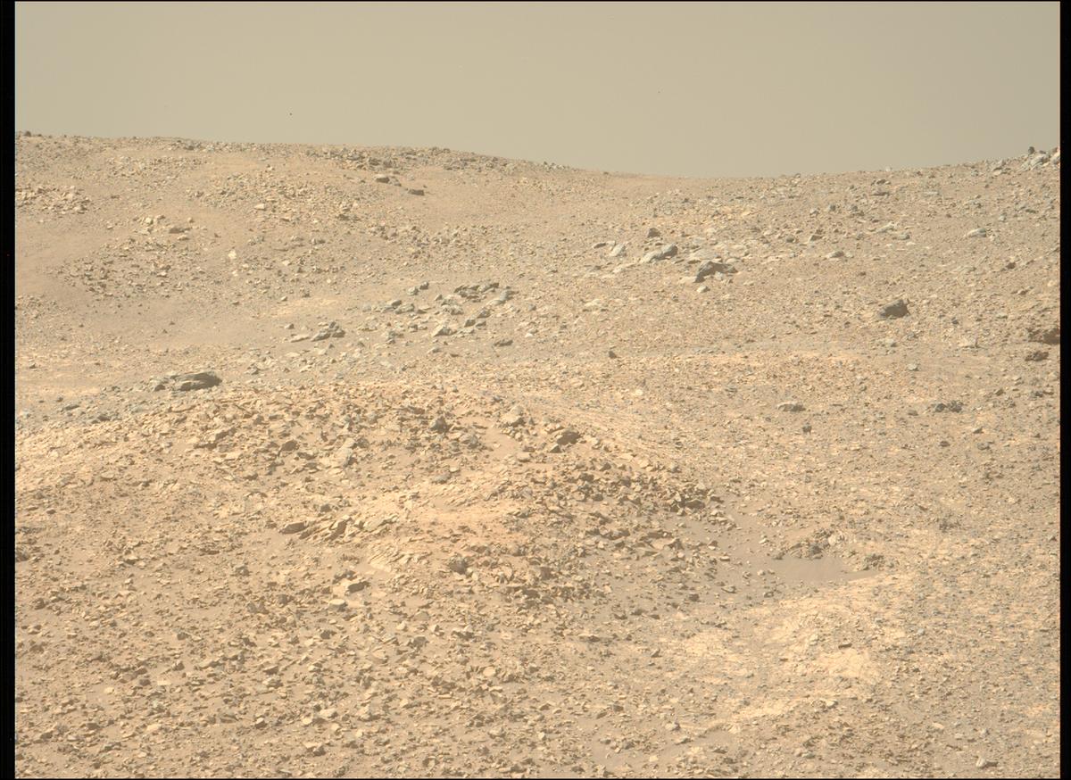 This image was taken by MCZ_LEFT onboard NASA's Mars rover Perseverance on Sol 1599