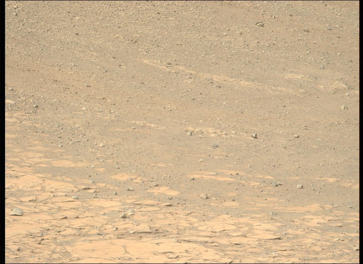 This image was taken by MCZ_LEFT onboard NASA's Mars rover Perseverance on Sol 1599