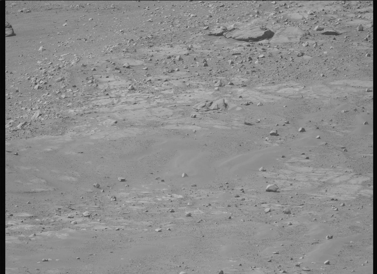 This image was taken by MCZ_LEFT onboard NASA's Mars rover Perseverance on Sol 1599