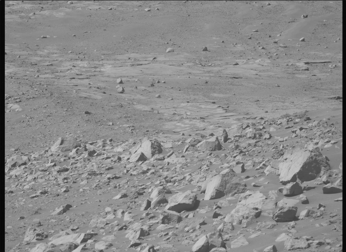 This image was taken by MCZ_LEFT onboard NASA's Mars rover Perseverance on Sol 1599