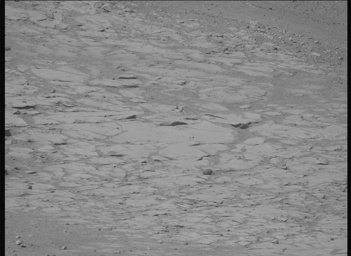 This image was taken by MCZ_RIGHT onboard NASA's Mars rover Perseverance on Sol 1599