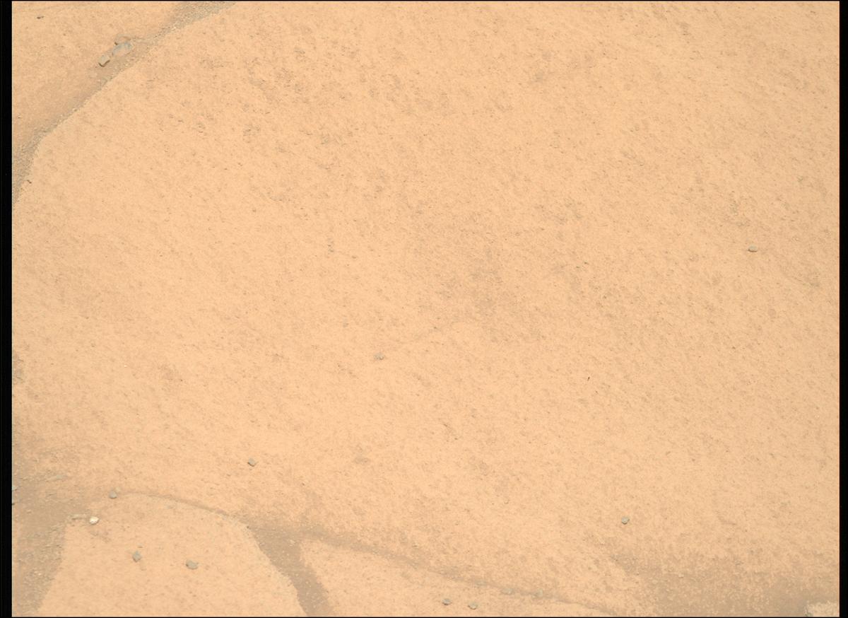 This image was taken by MCZ_RIGHT onboard NASA's Mars rover Perseverance on Sol 1599