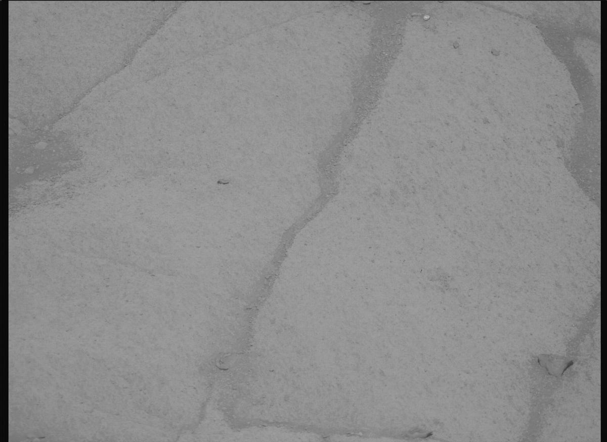 This image was taken by MCZ_RIGHT onboard NASA's Mars rover Perseverance on Sol 1599