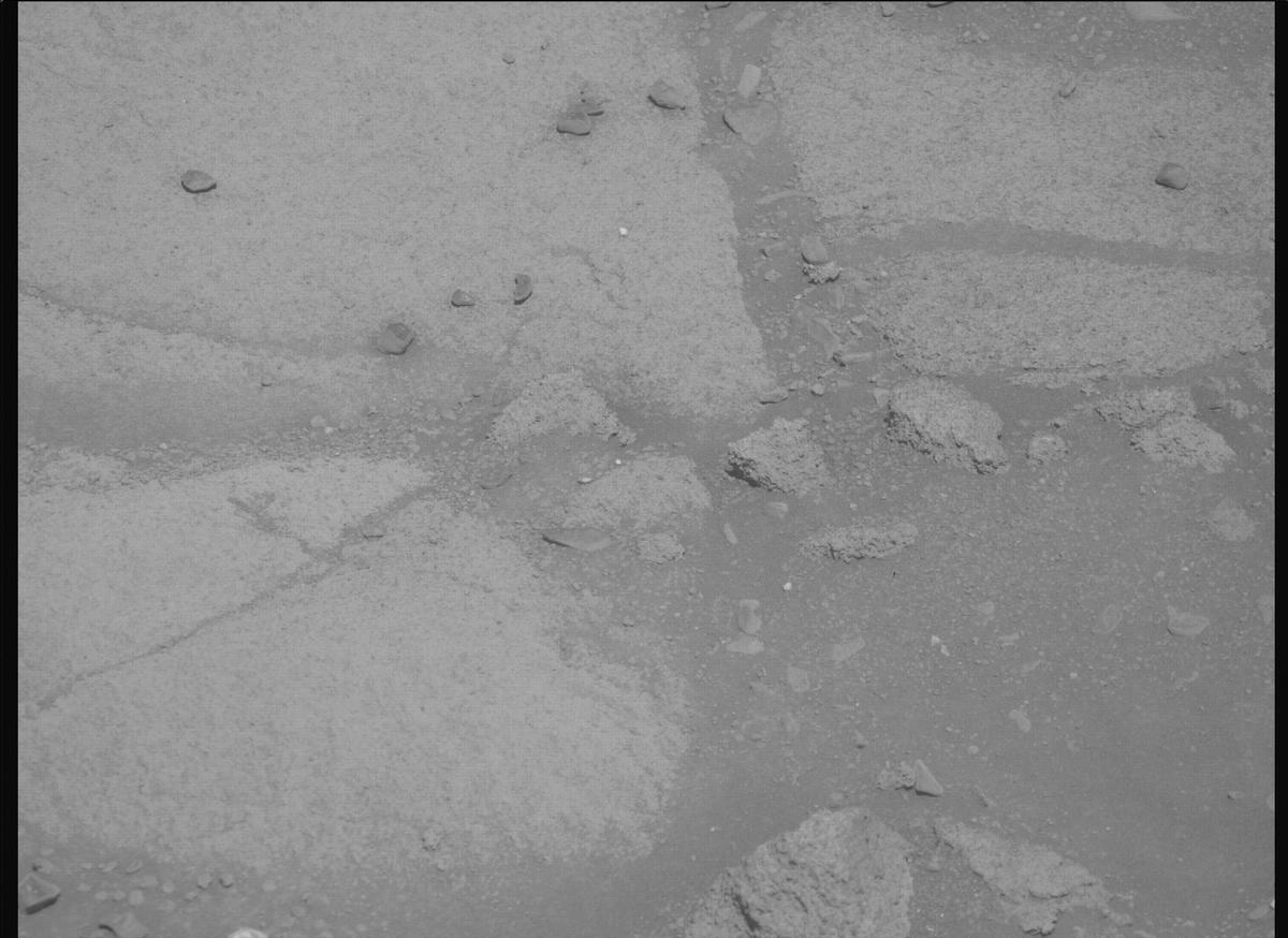 This image was taken by MCZ_RIGHT onboard NASA's Mars rover Perseverance on Sol 1599