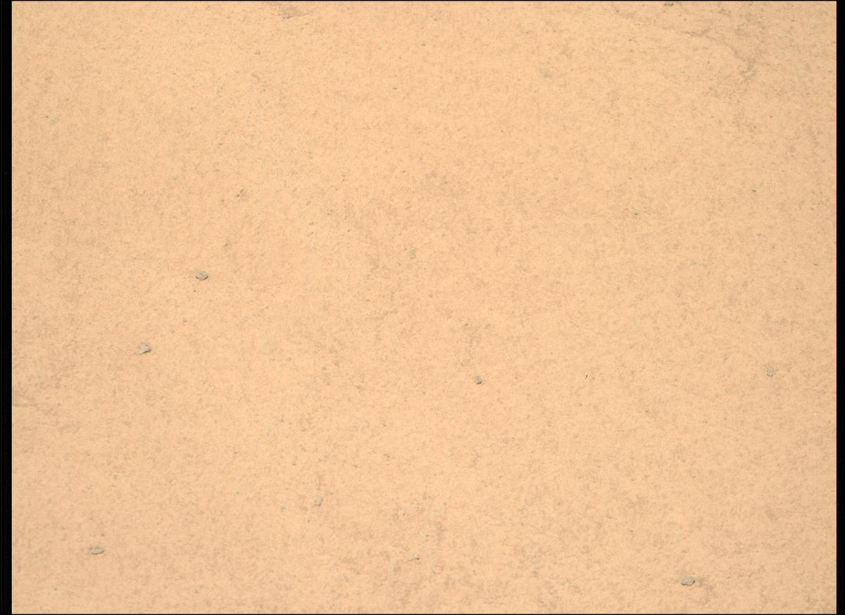 This image was taken by MCZ_RIGHT onboard NASA's Mars rover Perseverance on Sol 1599
