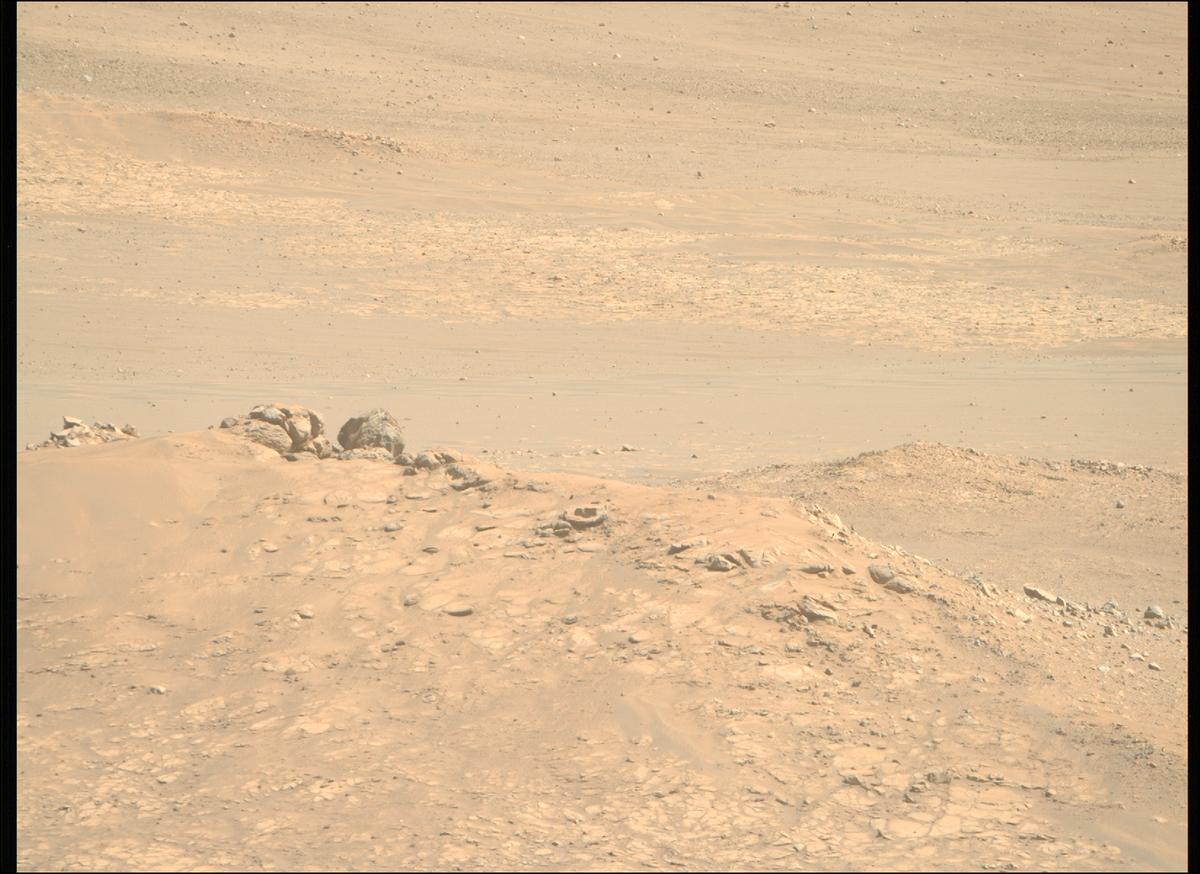 This image was taken by MCZ_RIGHT onboard NASA's Mars rover Perseverance on Sol 1599