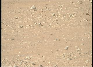 View image taken on Mars, Mars Perseverance Sol 1599: Right Mastcam-Z Camera