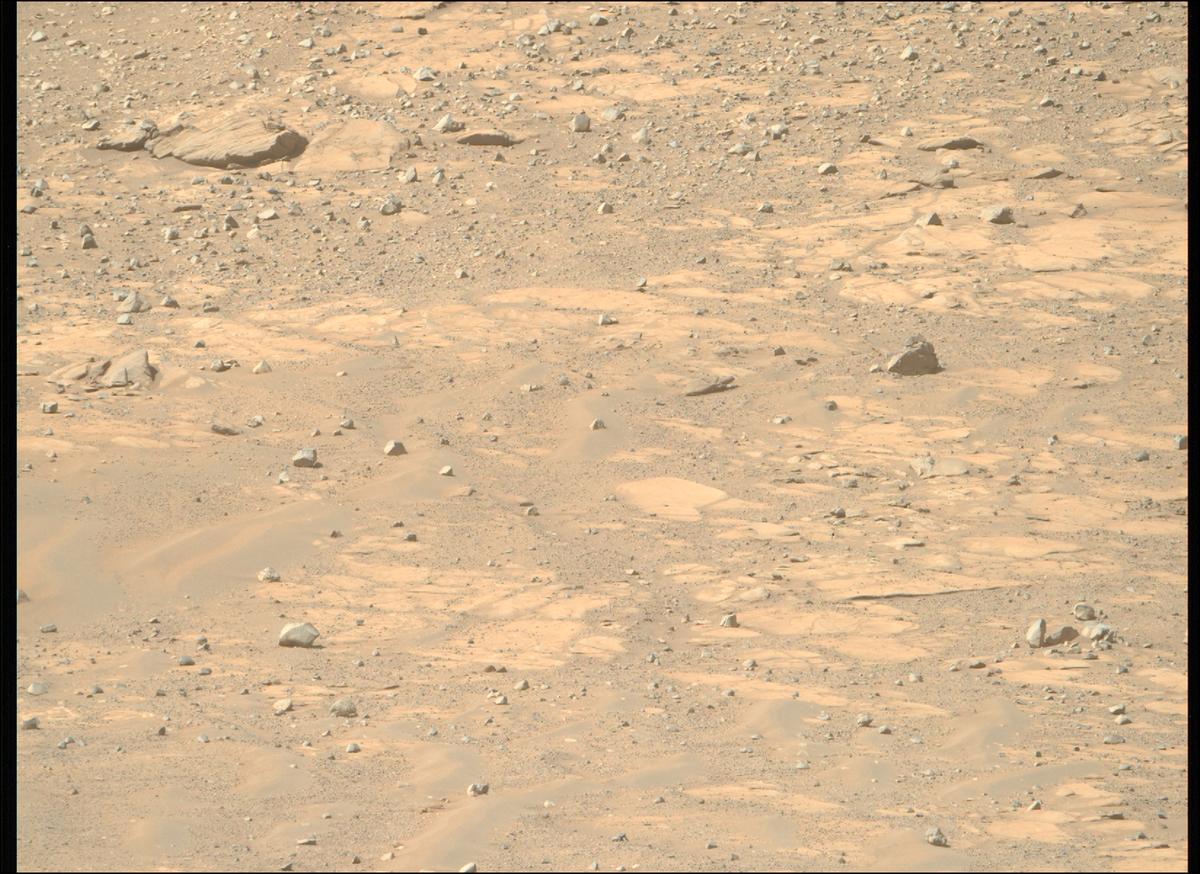 This image was taken by MCZ_RIGHT onboard NASA's Mars rover Perseverance on Sol 1599