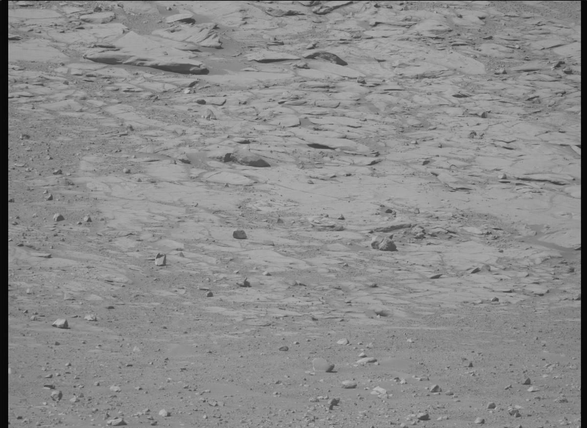 This image was taken by MCZ_RIGHT onboard NASA's Mars rover Perseverance on Sol 1599