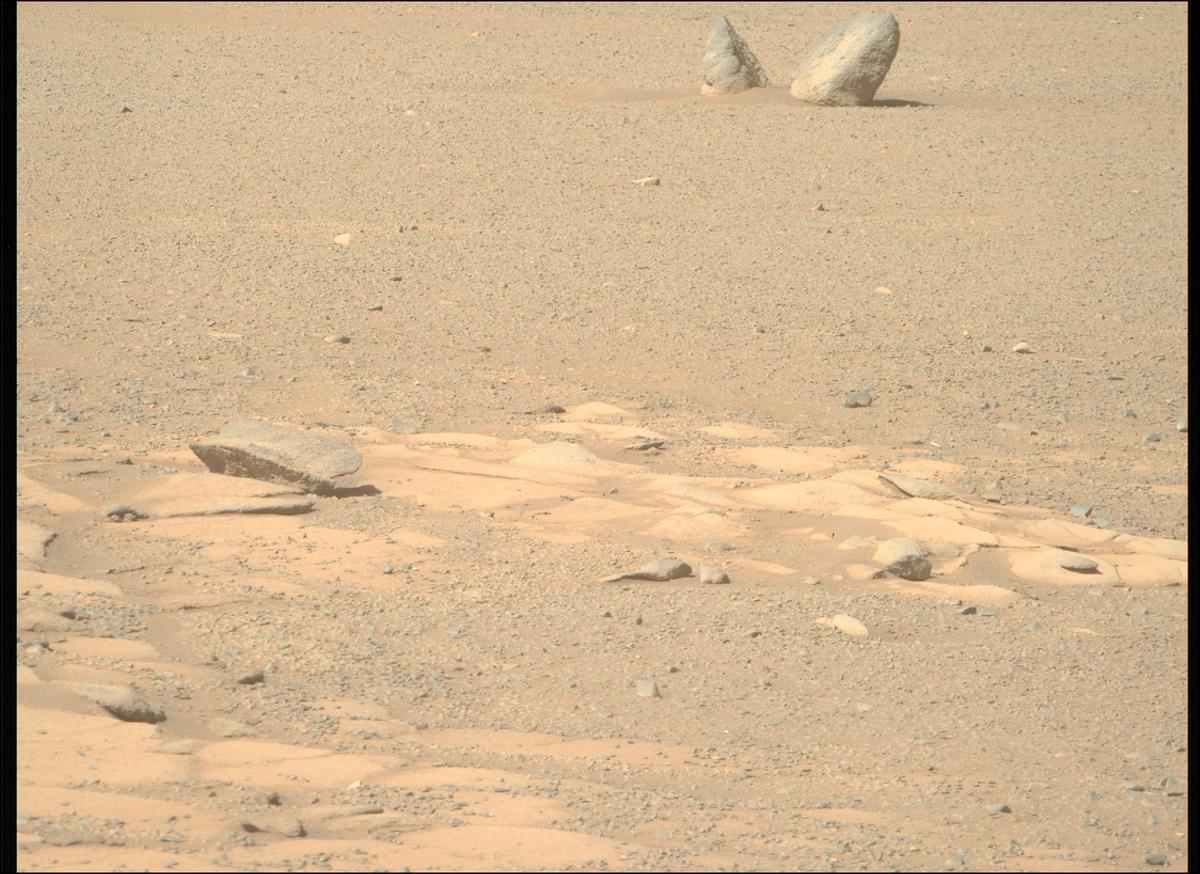 This image was taken by MCZ_RIGHT onboard NASA's Mars rover Perseverance on Sol 1599