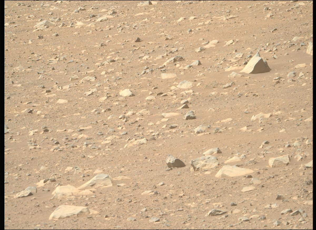 This image was taken by MCZ_RIGHT onboard NASA's Mars rover Perseverance on Sol 1599
