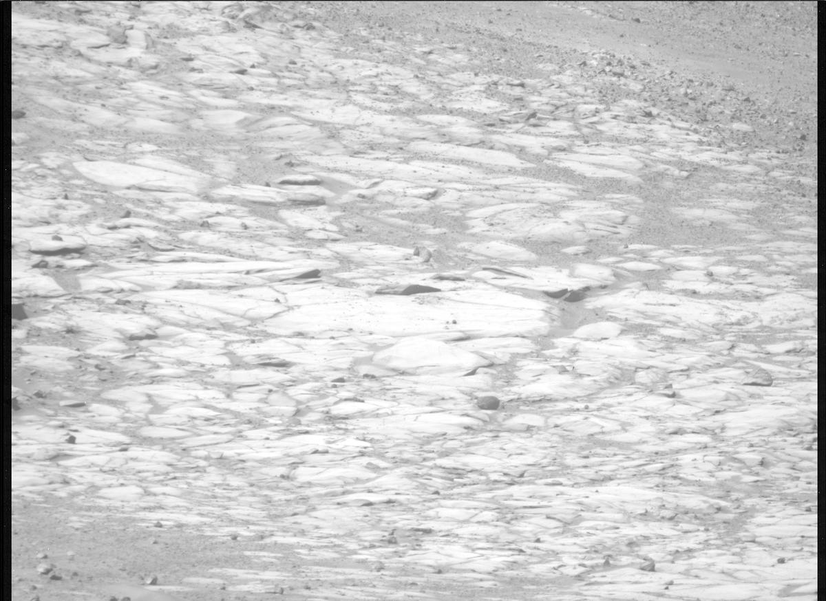 This image was taken by MCZ_RIGHT onboard NASA's Mars rover Perseverance on Sol 1599