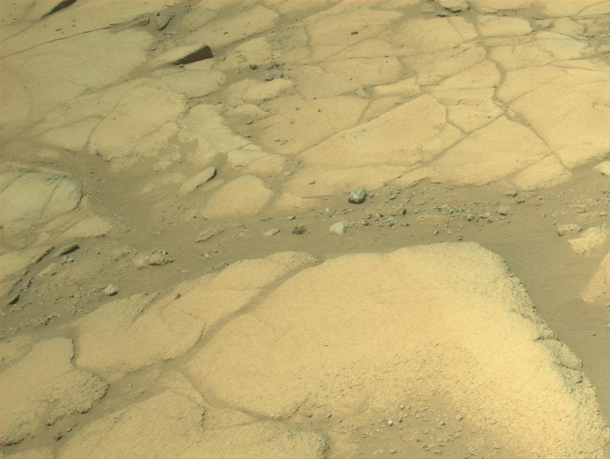 This image was taken by NAVCAM_RIGHT onboard NASA's Mars rover Perseverance on Sol 1600