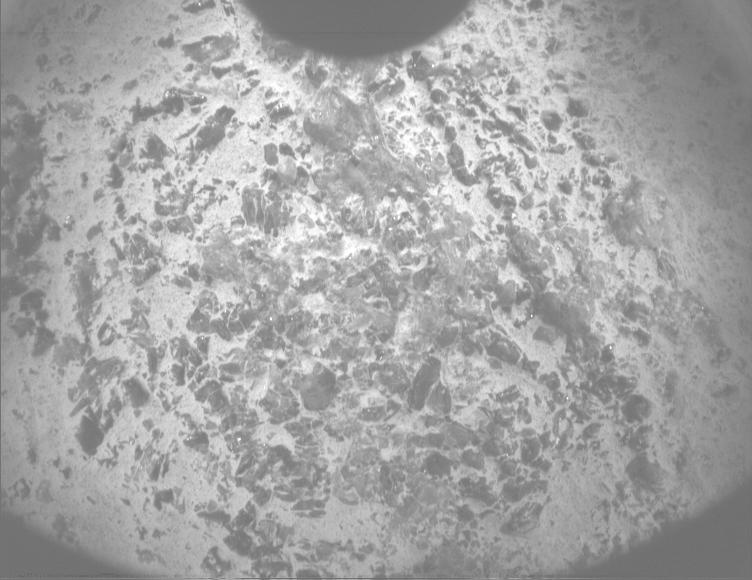 This image was taken by PIXL_MCC onboard NASA's Mars rover Perseverance on Sol 1600