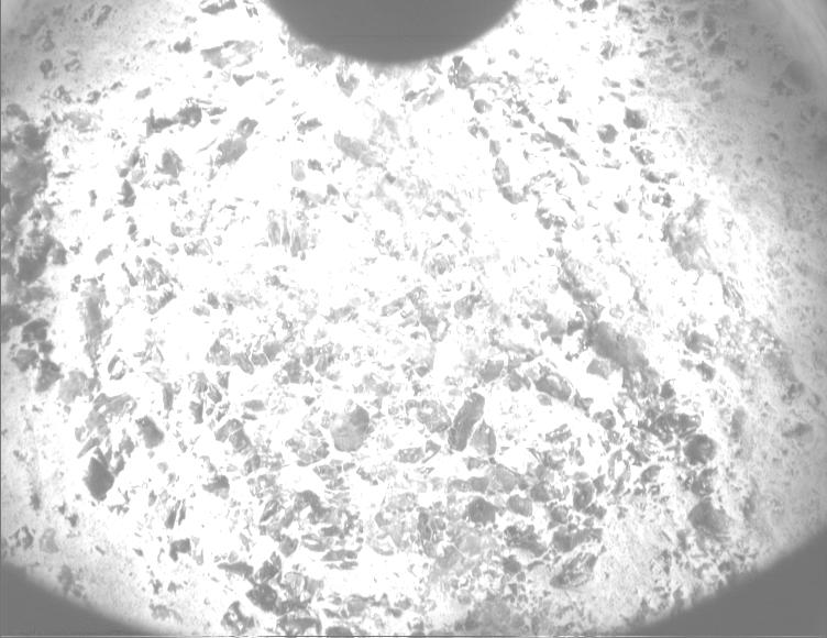 This image was taken by PIXL_MCC onboard NASA's Mars rover Perseverance on Sol 1600