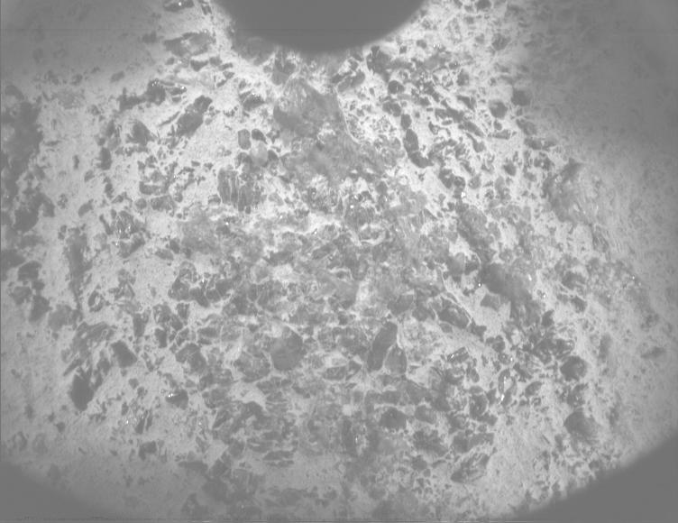 This image was taken by PIXL_MCC onboard NASA's Mars rover Perseverance on Sol 1600