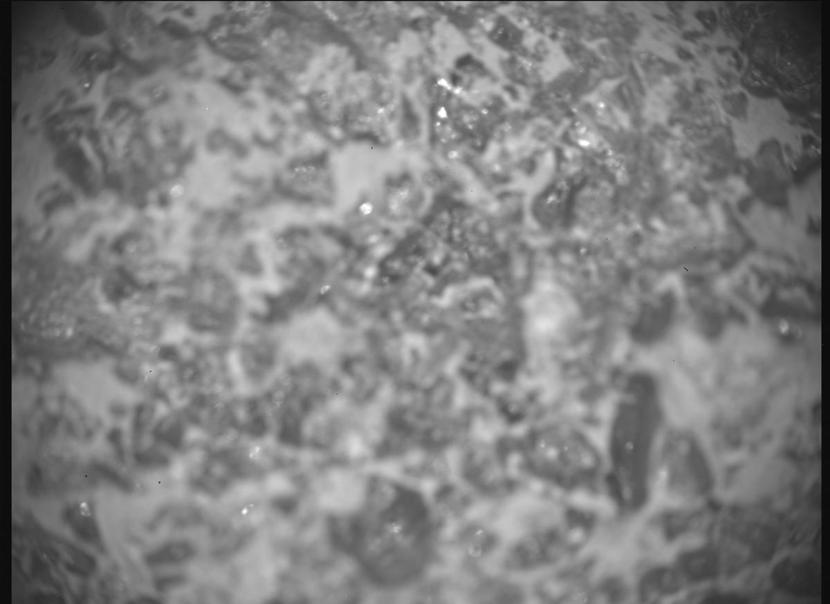 This image was taken by SHERLOC_ACI onboard NASA's Mars rover Perseverance on Sol 1600