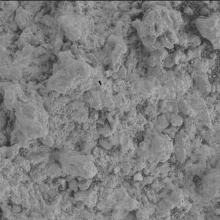 View image taken on Mars, Mars Perseverance Sol 1600: WATSON Camera 