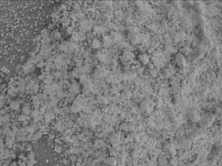 View image taken on Mars, Mars Perseverance Sol 1600: WATSON Camera 