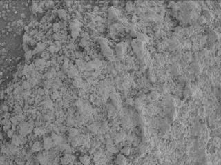 View image taken on Mars, Mars Perseverance Sol 1600: WATSON Camera 