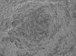 View image taken on Mars, Mars Perseverance Sol 1600: WATSON Camera 