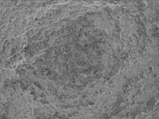 View image taken on Mars, Mars Perseverance Sol 1600: WATSON Camera 