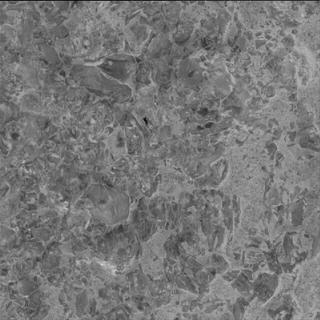 View image taken on Mars, Mars Perseverance Sol 1600: WATSON Camera 