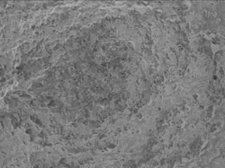 View image taken on Mars, Mars Perseverance Sol 1600: WATSON Camera 