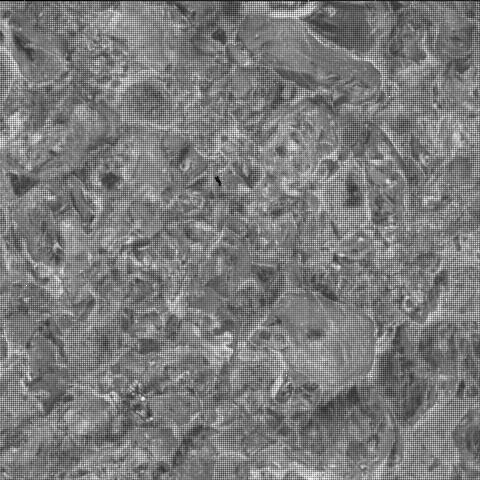 This image was taken by SHERLOC_WATSON onboard NASA's Mars rover Perseverance on Sol 1600