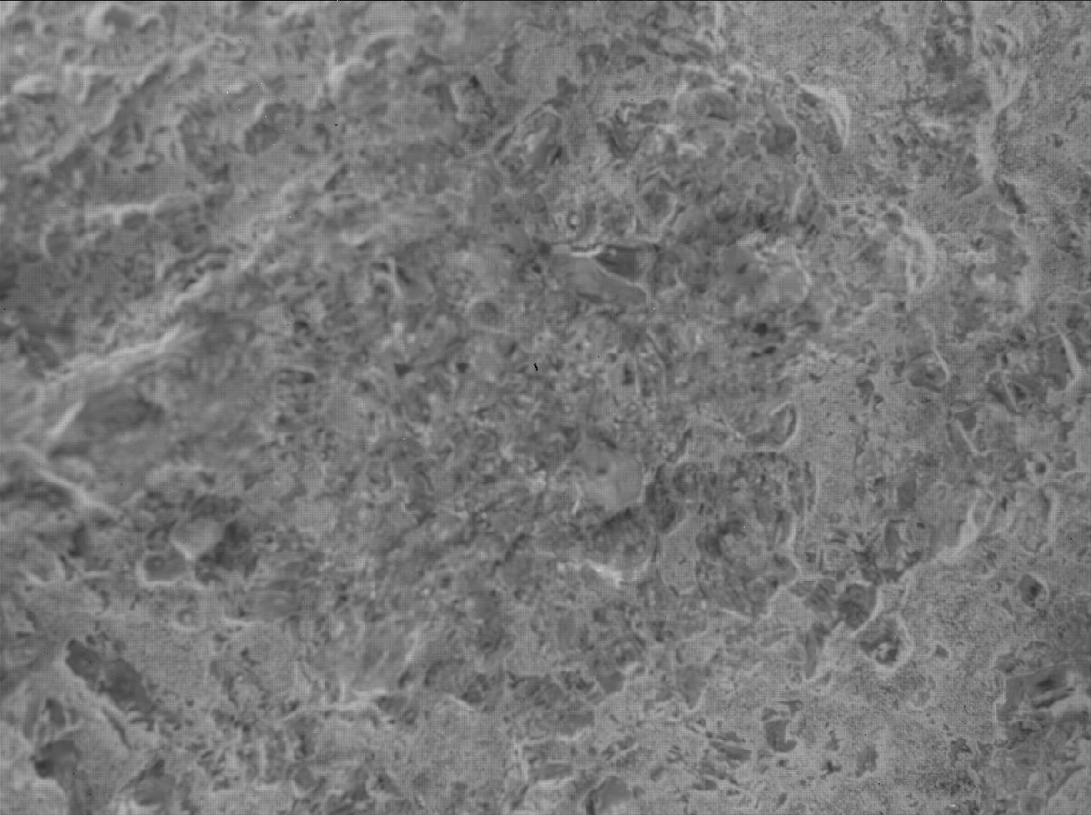 This image was taken by SHERLOC_WATSON onboard NASA's Mars rover Perseverance on Sol 1600