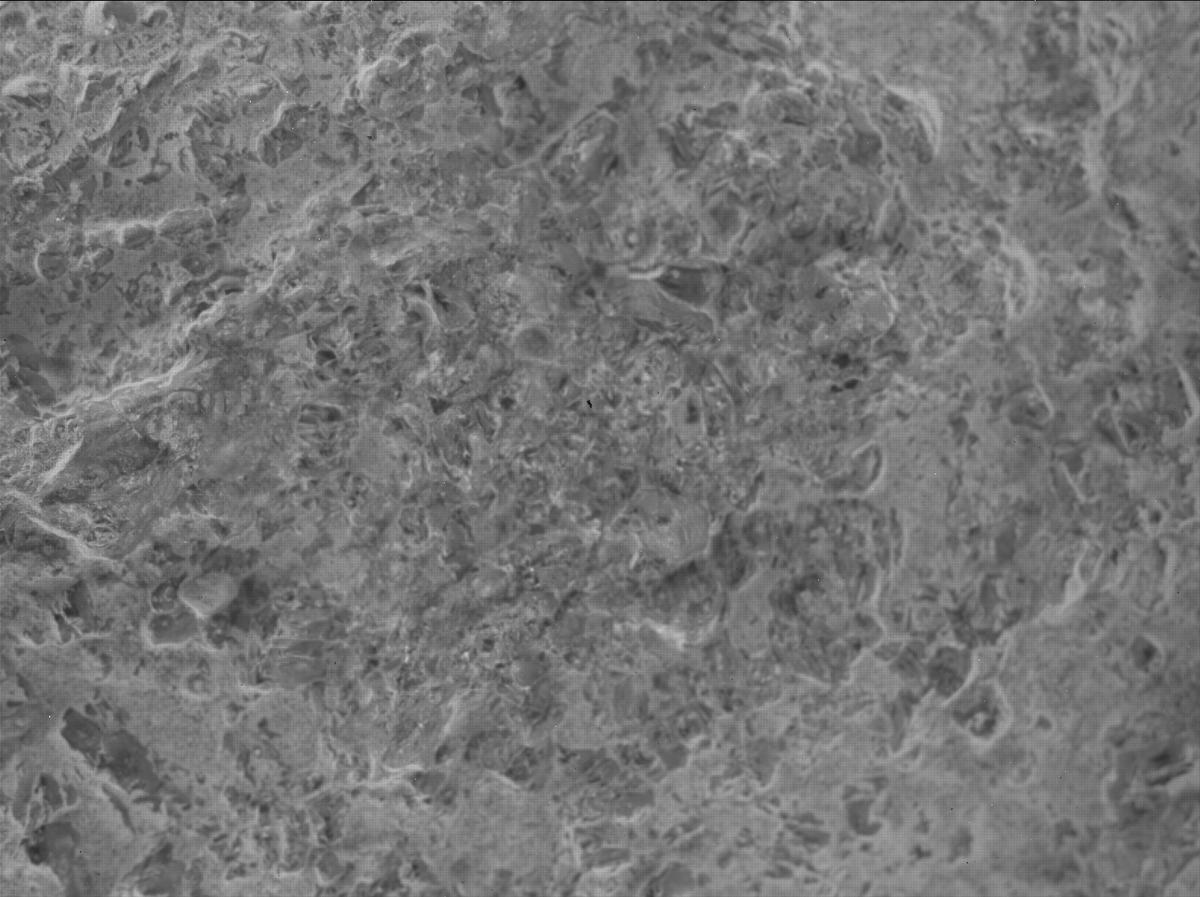 This image was taken by SHERLOC_WATSON onboard NASA's Mars rover Perseverance on Sol 1600