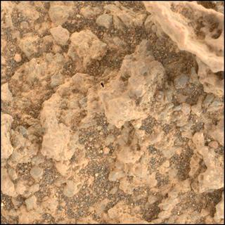 View image taken on Mars, Mars Perseverance Sol 1600: WATSON Camera 