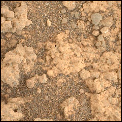 This image was taken by SHERLOC_WATSON onboard NASA's Mars rover Perseverance on Sol 1600