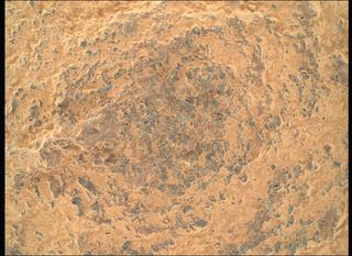 View image taken on Mars, Mars Perseverance Sol 1600: WATSON Camera 