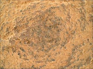 View image taken on Mars, Mars Perseverance Sol 1600: WATSON Camera 