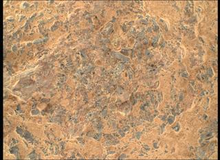 View image taken on Mars, Mars Perseverance Sol 1600: WATSON Camera 