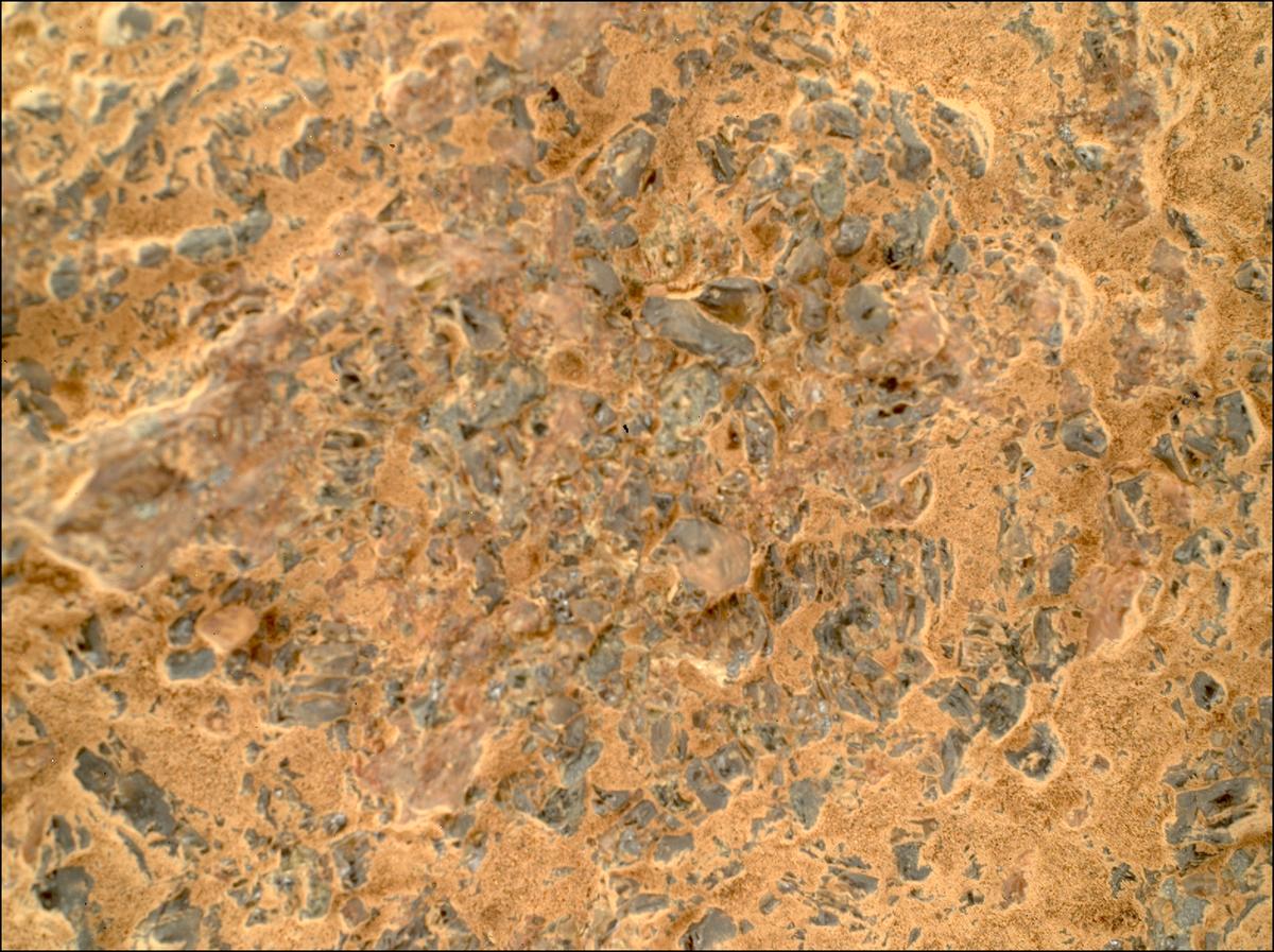 This image was taken by SHERLOC_WATSON onboard NASA's Mars rover Perseverance on Sol 1600