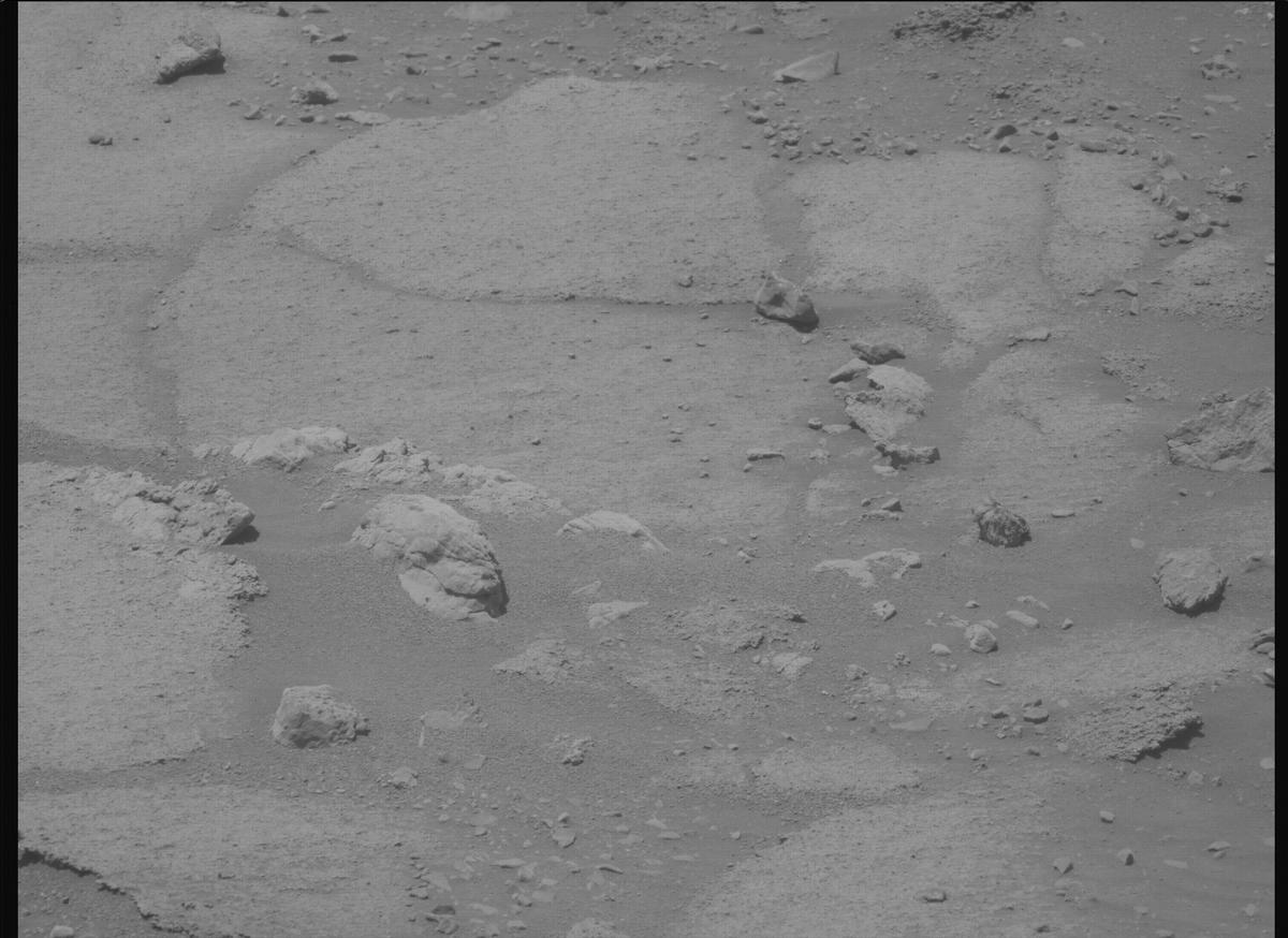 This image was taken by MCZ_LEFT onboard NASA's Mars rover Perseverance on Sol 1600