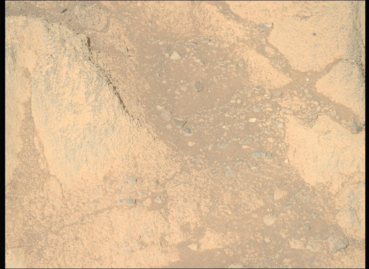 This image was taken by MCZ_RIGHT onboard NASA's Mars rover Perseverance on Sol 1601